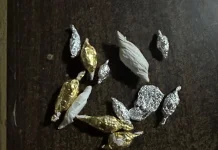 Polisi Amankan Pemuda Pembawa Ganja