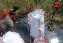 Pembersihan Sampah Digelar di Rawa Biru