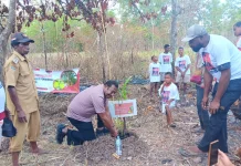 Edoardus Kaize Ajak Masyarakat Wasur Tanam Sagu.