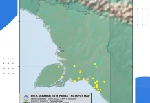 Update, Sebaran Titik Panas di Wilayah Papua Selatan