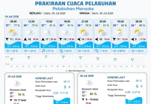 Terbaru, Prakiraan Cuaca Pelabuhan di Papua Selatan