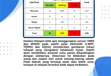 Terkini, Sebaran Titik Panas Capai 1.285 di Papua Selatan