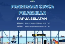 Informasi Prakiraan Cuaca Wilayah Pelabuhan Papua Selatan
