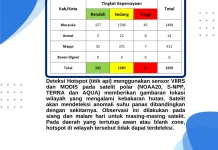 Terbaru, Sebaran Titik Panas Nyaris 2000 di Papua Selatan