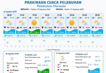 Terbaru, Prakiraan Cuaca Pelabuhan di Wilayah Papsel