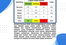 Update, Sebaran Titik Panas di Papua Selatan