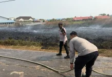Karhutla di Merauke Sempat Ancam Permukiman Warga