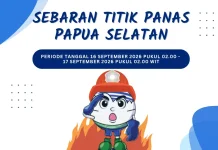 Terkini, Sebaran Titik Panas di Papua Selatan
