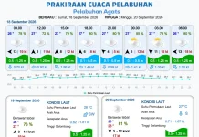 BMKG Merilis Informasi Prakiraan Cuaca Pelabuhan Papua Selatan