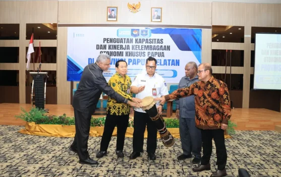Papua Selatan Tingkatkan Kapasitas dan Kinerja Kelembagaan Otsus