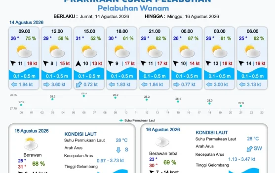 Terbaru Informasi Prakiraan Cuaca Pelabuhan Papua Selatan