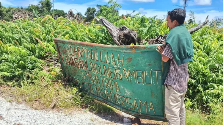 Dugaan Alih Fungsi Gambut Rawa Tripa di Nagan Raya, Aceh