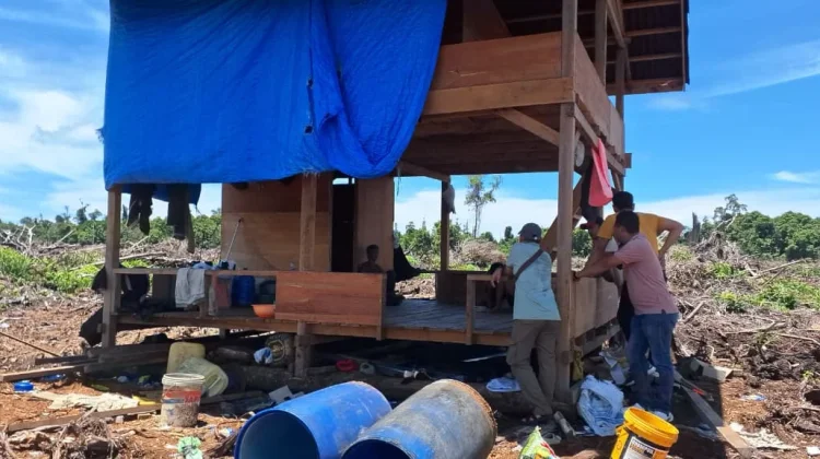 Dugaan Alih Fungsi Gambut Rawa Tripa di Nagan Raya, Aceh