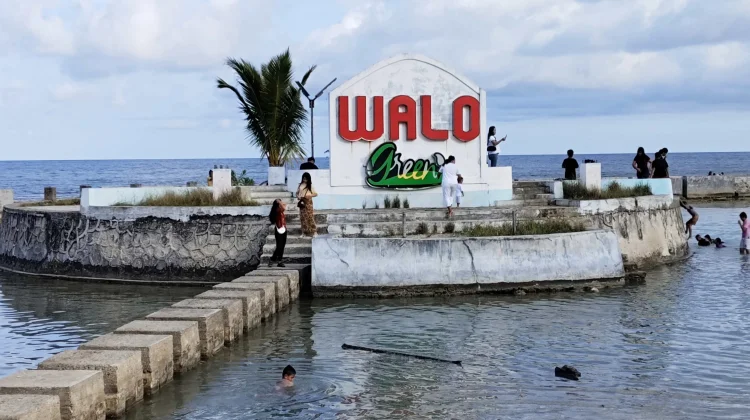 Aktivitas Akhir Pekan di Walo Green