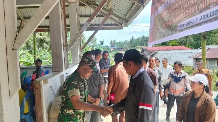 Panen Cabai di Desa Golambanua I, Lahusa
