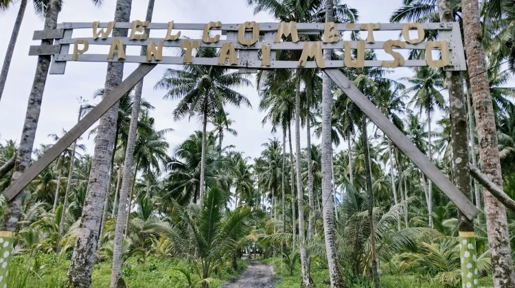 Objek Wisata Pantai Muso, Nias Selatan