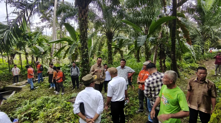 Mengenal Simalambuo Pohon Endemik Nias Penjaga Mata Air