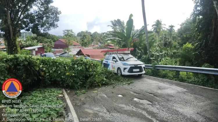 BPBD Nisel dan Masyarakat Gerak Cepat Tangani Pohon Tumbang