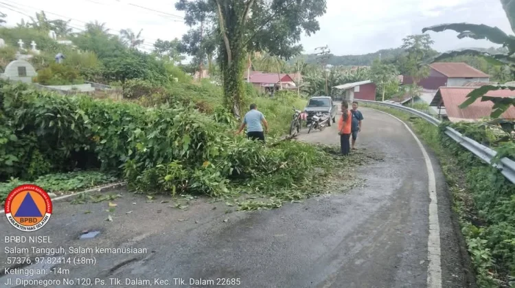BPBD Nisel dan Masyarakat Gerak Cepat Tangani Pohon Tumbang