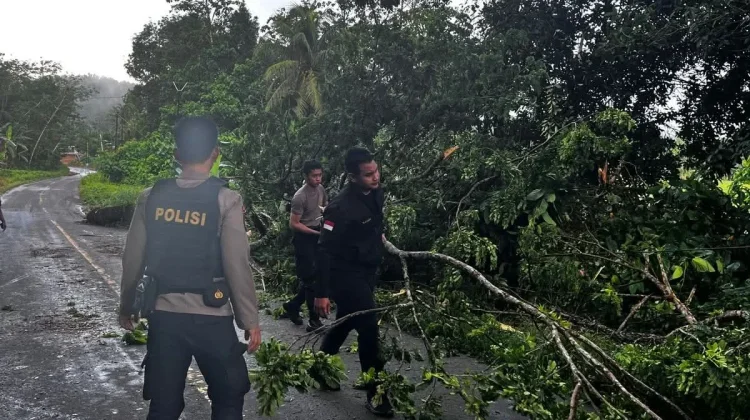 Polres Nias Selatan Evakuasi Pohon Tumbang di Amandraya
