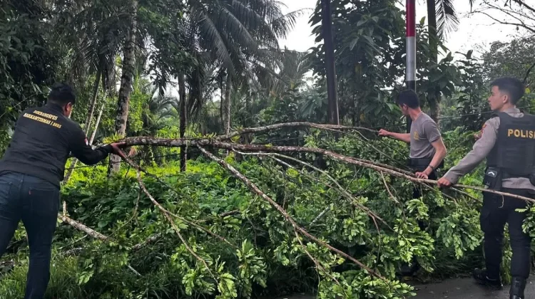 Polres Nias Selatan Evakuasi Pohon Tumbang di Amandraya