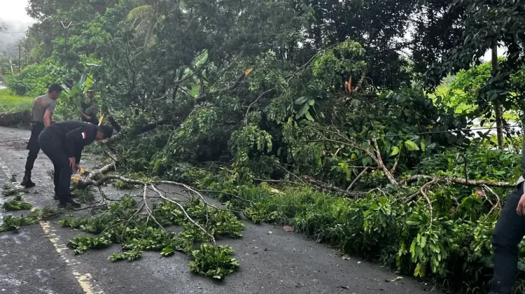 Polres Nias Selatan Evakuasi Pohon Tumbang di Amandraya