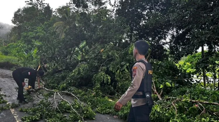 Polres Nias Selatan Evakuasi Pohon Tumbang di Amandraya