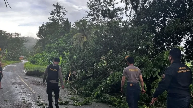 Polres Nias Selatan Evakuasi Pohon Tumbang di Amandraya