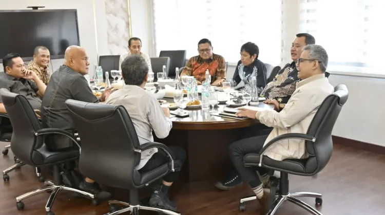 Kepala Daerah Se-Kepulauan Nias Audiensi Dengan Wamenkeu