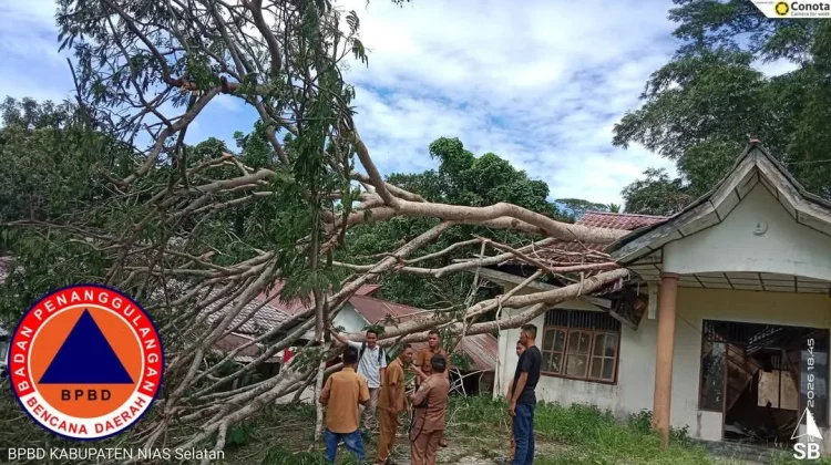 BPBD Nisel Lakukan Pembersihan Pohon Tumbang di Area Perkantoran
