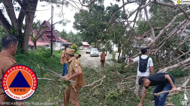 BPBD Nisel Lakukan Pembersihan Pohon Tumbang di Area Perkantoran