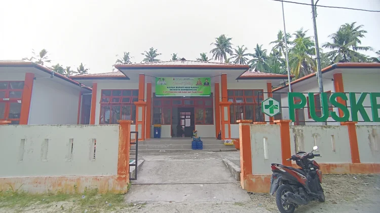 Dinas P3AKB Nias Barat Laksanakan Pembinaan Kapasitas Lini Lapangan di Hinako