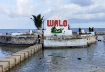 Aktivitas Akhir Pekan di Walo Green