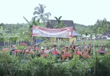 Bupati Nias-Selatan Apresiasi Panen Raya Cabai Merah Lahusa