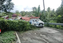BPBD Nisel dan Masyarakat Gerak Cepat Tangani Pohon Tumbang