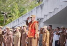 Wabup Nisel Pimpin Upacara Harganas Ke-33 Tahun 2026