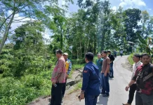 Bupati Nisel Tinjau Jalan Longsor di Desa Lawa-Lawa Luo, Lolomatua