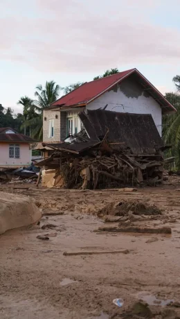 Indang Dewata: Pemulihan Ekosistem Pascabencana Butuh Waktu Beberapa Tahun