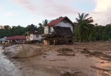 Indang Dewata: Pemulihan Ekosistem Pascabencana Butuh Waktu Beberapa Tahun