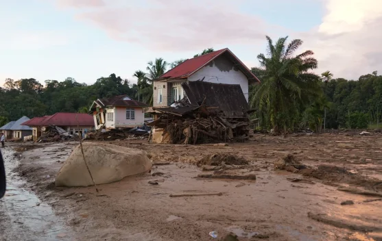 Indang Dewata: Pemulihan Ekosistem Pascabencana Butuh Waktu Beberapa Tahun