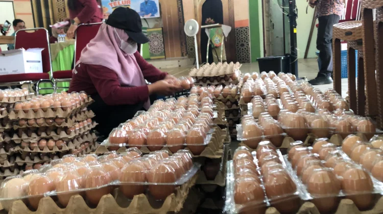 Warga Pontianak Utara Serbu Telur Murah