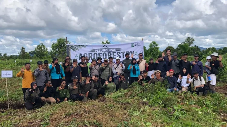 Potret Pemulihan Lahan Gambut Bekas Kebakaran Jadi Agroforestry