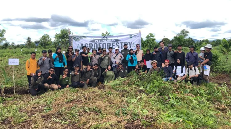 Potret Pemulihan Lahan Gambut Bekas Kebakaran Jadi Agroforestry