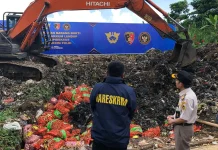Penampakan Puluhan Ton Pangan Ilegal Dimusnahkan