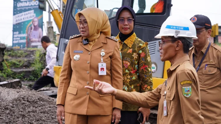 Bupati Kebumen Lilis Nuryani Tinjau Tempat Rehabilitasi Jembatan di Kebumen