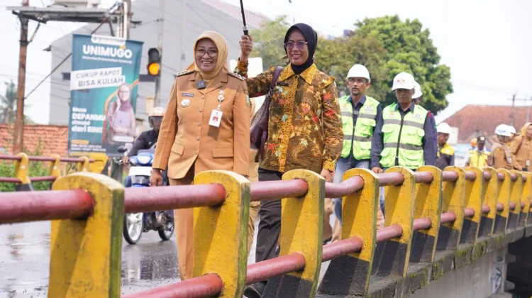 Bupati Kebumen Lilis Nuryani Tinjau Tempat Rehabilitasi Jembatan di Kebumen