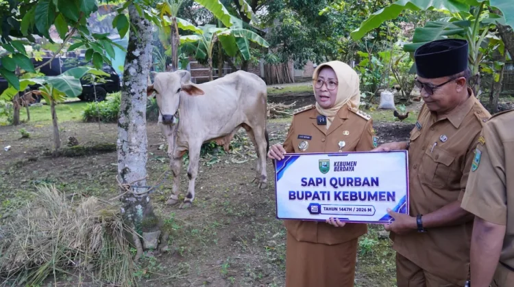 Kegiatan Bupati Kebumen Salurkan Hewan Kurban