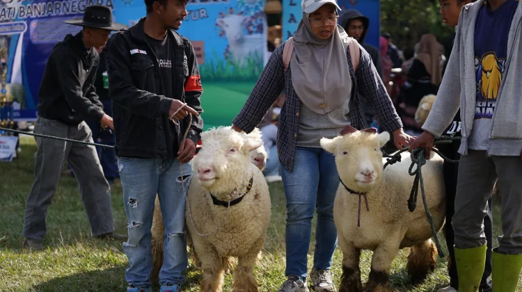 Kegiatan Soft Launching Dieng Culture Festival 2026 Banjarnegara