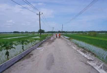 Bupati Kebumen Lilis Nuryani Cek Kondisi Lapangan Perbaikan Jalan dan Jembatan