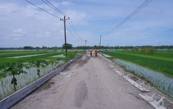 Bupati Kebumen Lilis Nuryani Cek Kondisi Lapangan Perbaikan Jalan dan Jembatan